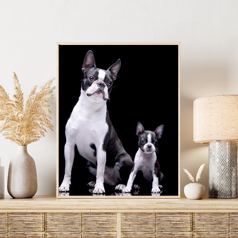 Happy Paws Studio produce Art work of your Pet