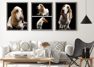 Wall Art Example of Basset Hound pet dog