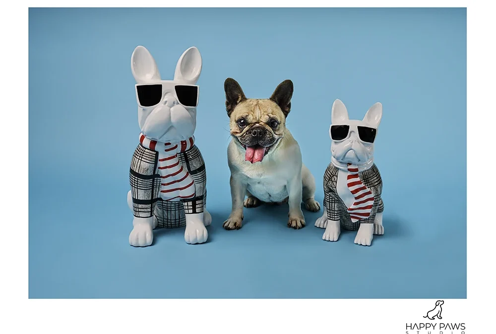 Charlie is in the Studio