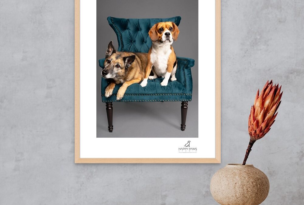 Custom pet portrait of Athena and Loki at Happy Paws Studio