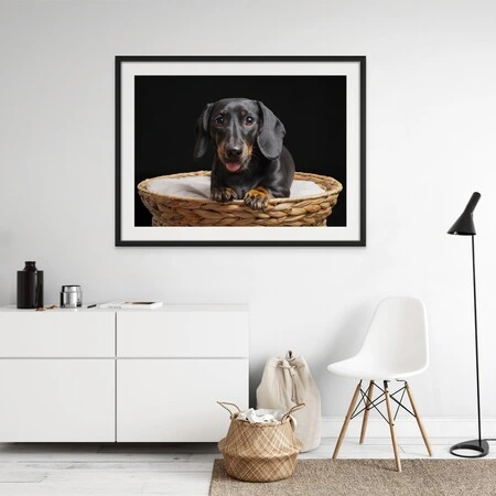 The Perfect Gift for Pet Lovers: Dog Portraits