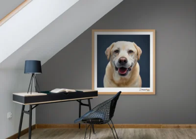 Wall decor with a dog Portrait taken at Happy Paws Studio