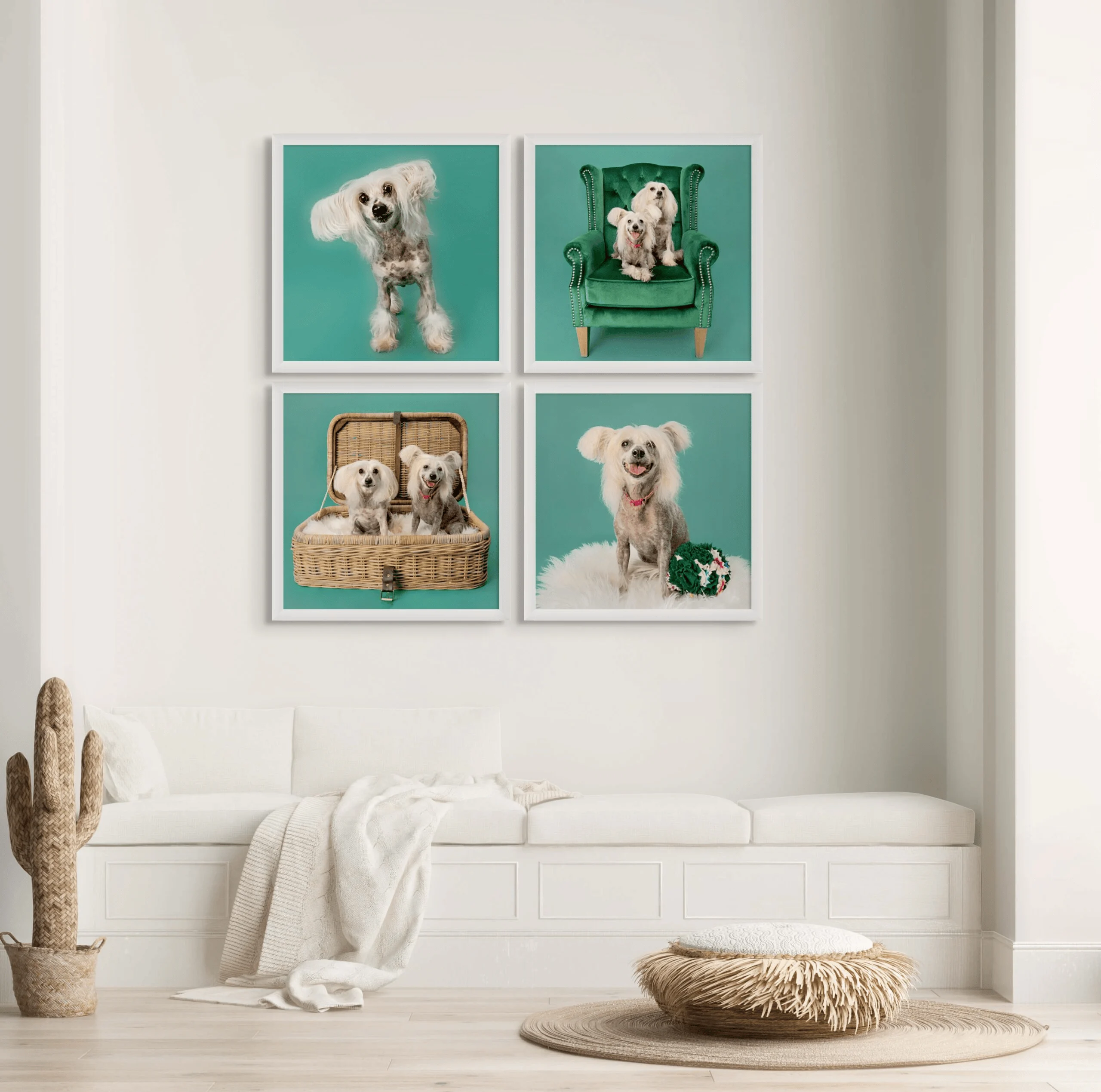 Happy Paws Studio Wall Art