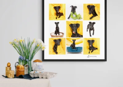 Decorative pet photo frame made at Happy Paws Studio