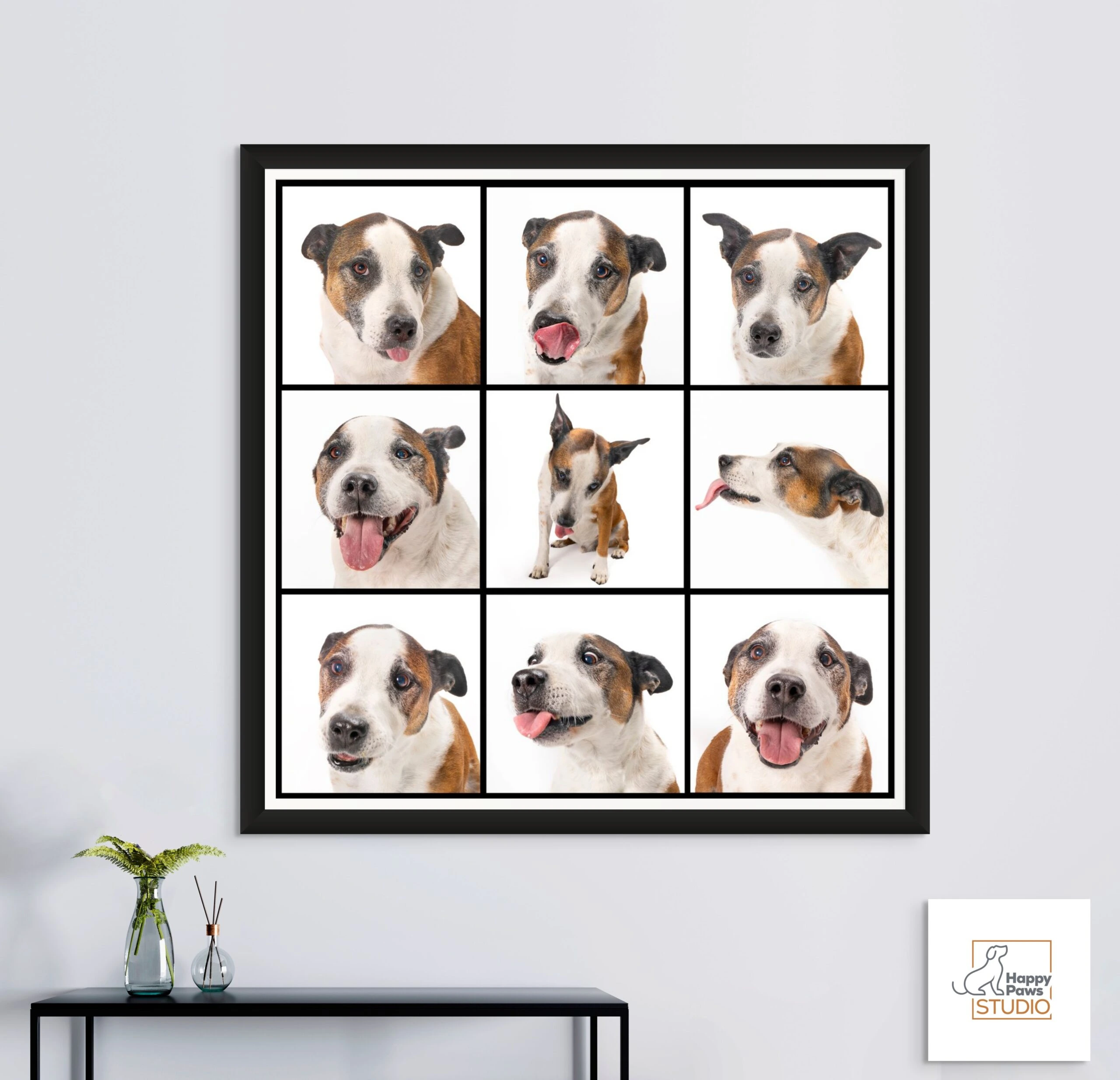 Happy Paws Studio Portraits (2) Professional Portraits that show your pets personality