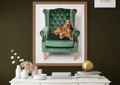 Smiling dog sitting on a chair during a photoshoot at Happy Paws Studio