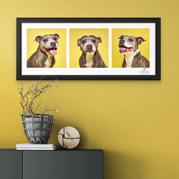 Misty Wall Art Happy Paws Pet Portraits from Happy Paws Studio