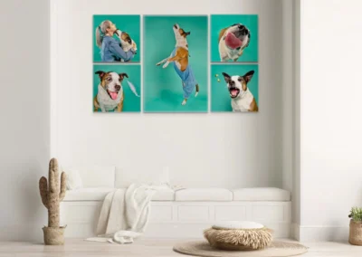 Funny portraits of a dog and its owner in a photo shoot at Happy Paws Studio