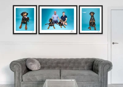 Decorative Frames of a Pet Photo Shoot at Happy Paws Studio