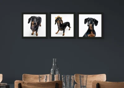 Wall decor with Pet portraits by Happy Paws Studio